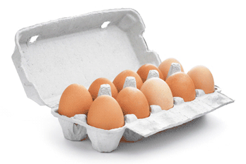 scatole porta uova